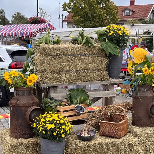 Blommor och hö