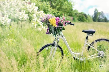 Cykel på en äng